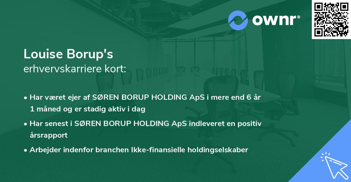 Louise Borup's erhvervskarriere kort