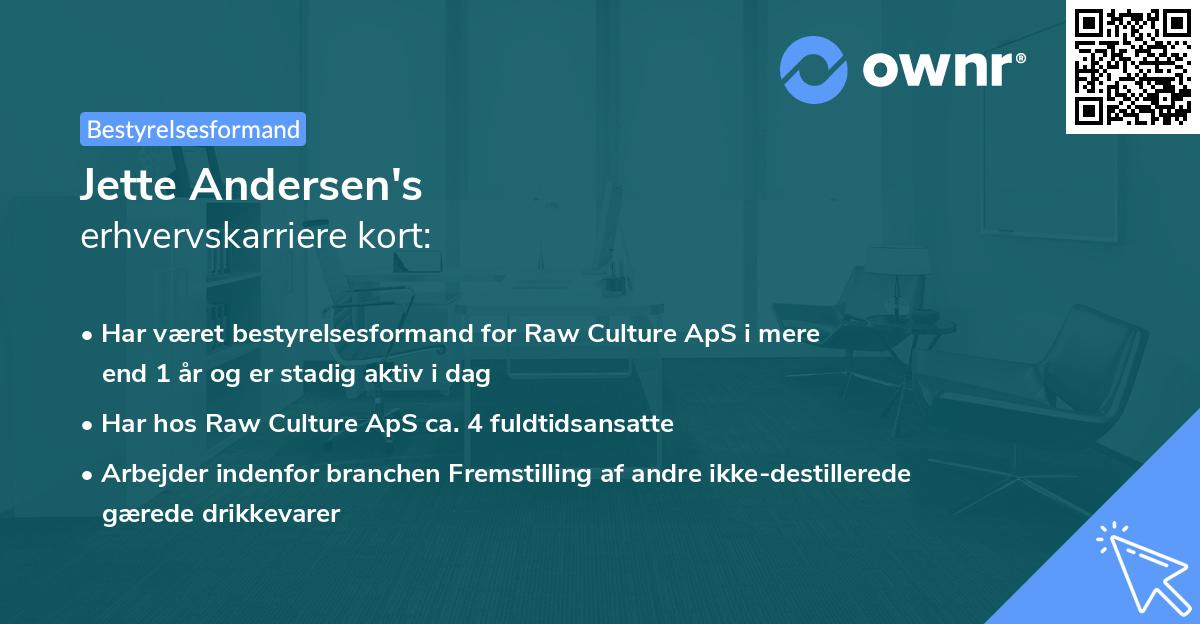 Jette Andersen's erhvervskarriere kort