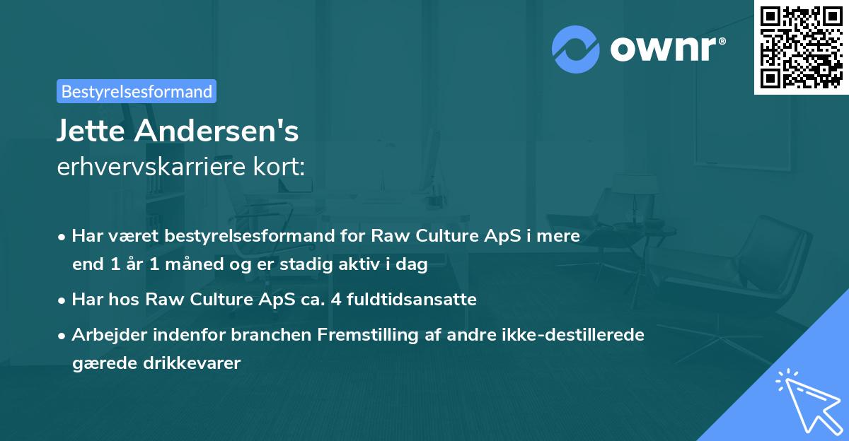 Jette Andersen's erhvervskarriere kort