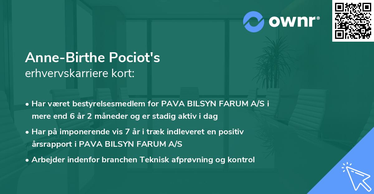 Anne-Birthe Pociot's erhvervskarriere kort
