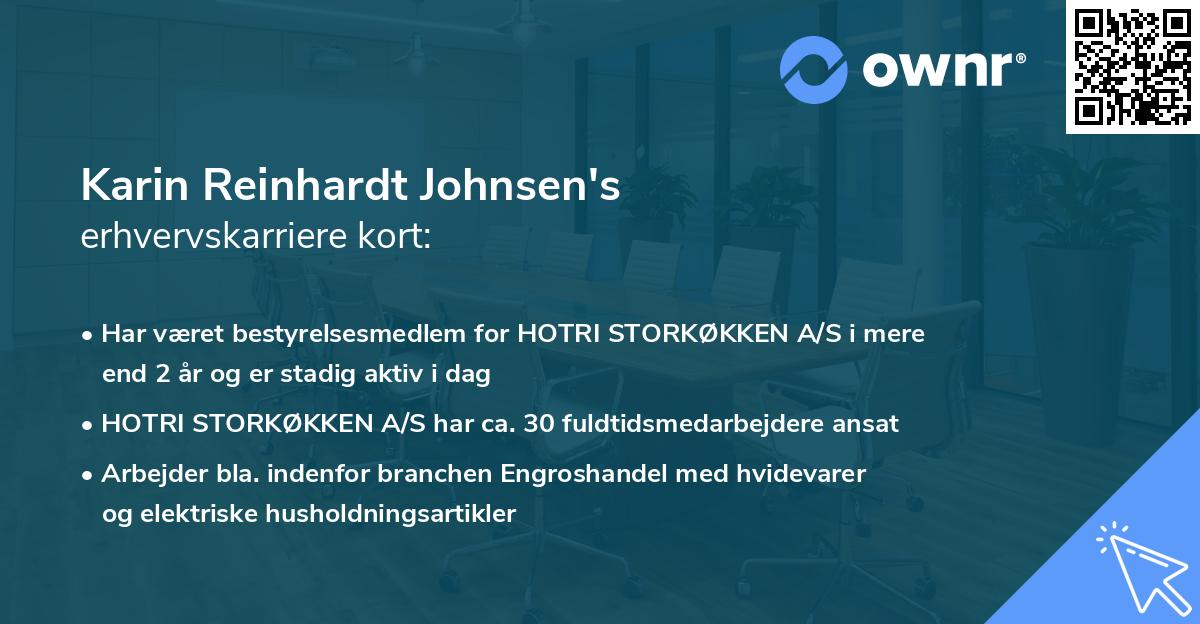 Karin Reinhardt Johnsen's erhvervskarriere kort