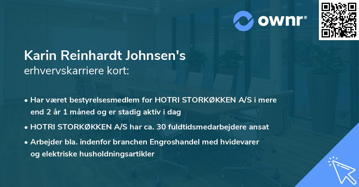 Karin Reinhardt Johnsen's erhvervskarriere kort
