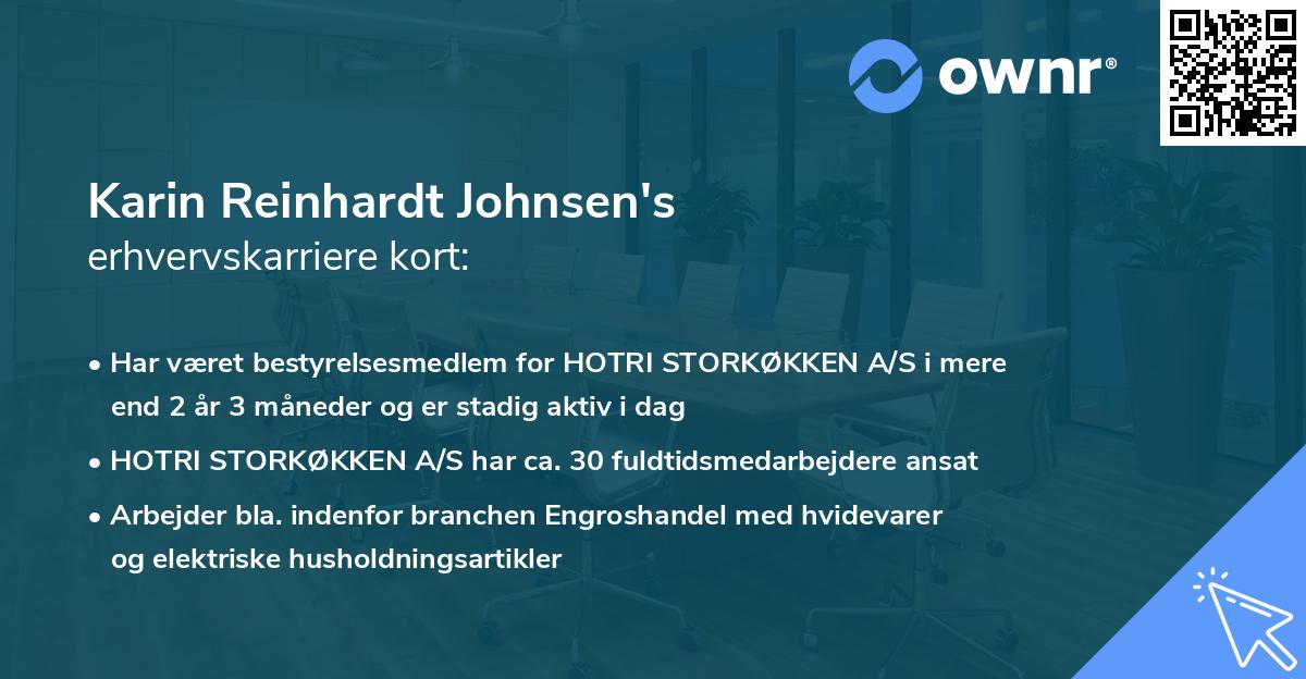 Karin Reinhardt Johnsen's erhvervskarriere kort