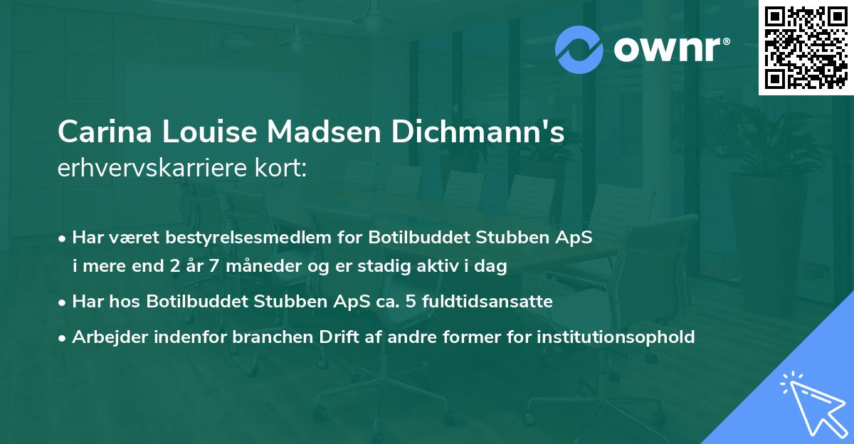 Carina Louise Madsen Dichmann's erhvervskarriere kort