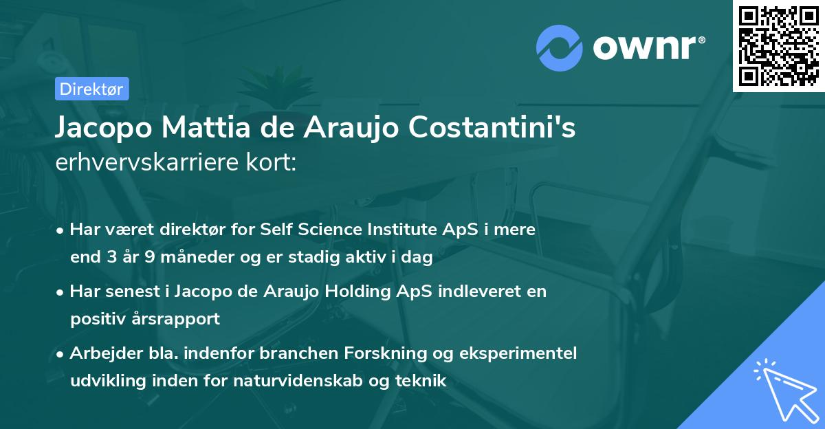 Jacopo Mattia de Araujo Costantini's erhvervskarriere kort