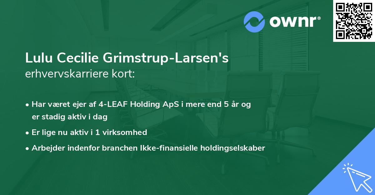 Lulu Cecilie Grimstrup-Larsen's erhvervskarriere kort