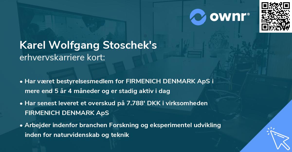 Karel Wolfgang Stoschek's erhvervskarriere kort
