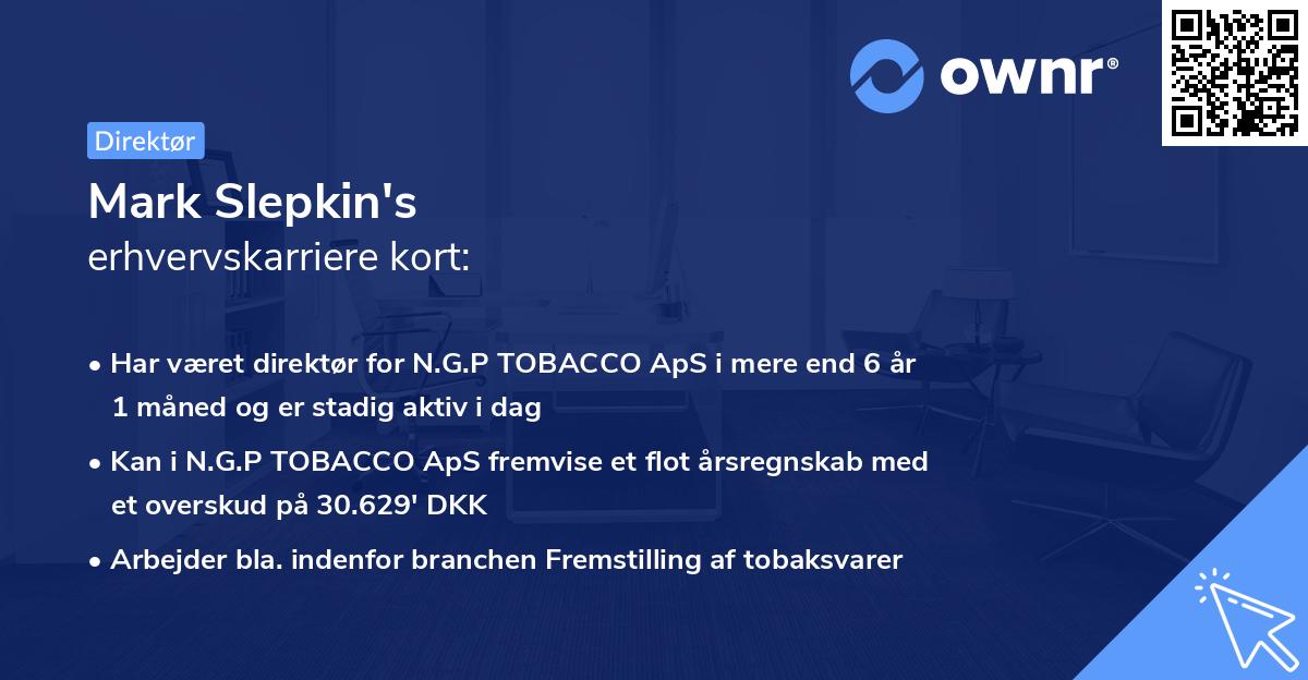 Mark Slepkin's erhvervskarriere kort