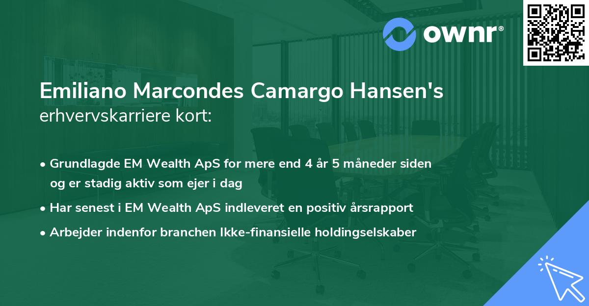 Emiliano Marcondes Camargo Hansen's erhvervskarriere kort