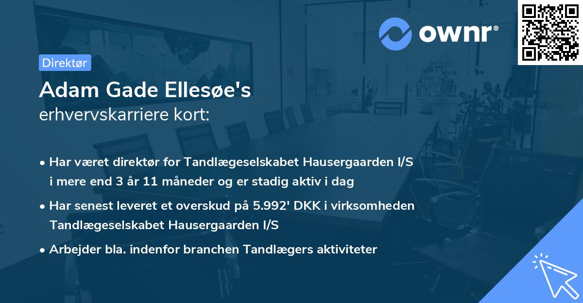 Adam Gade Ellesøe's erhvervskarriere kort