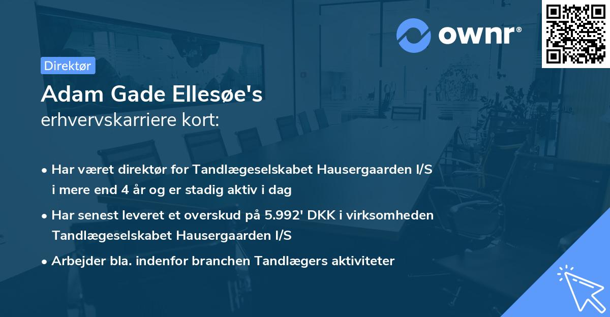 Adam Gade Ellesøe's erhvervskarriere kort