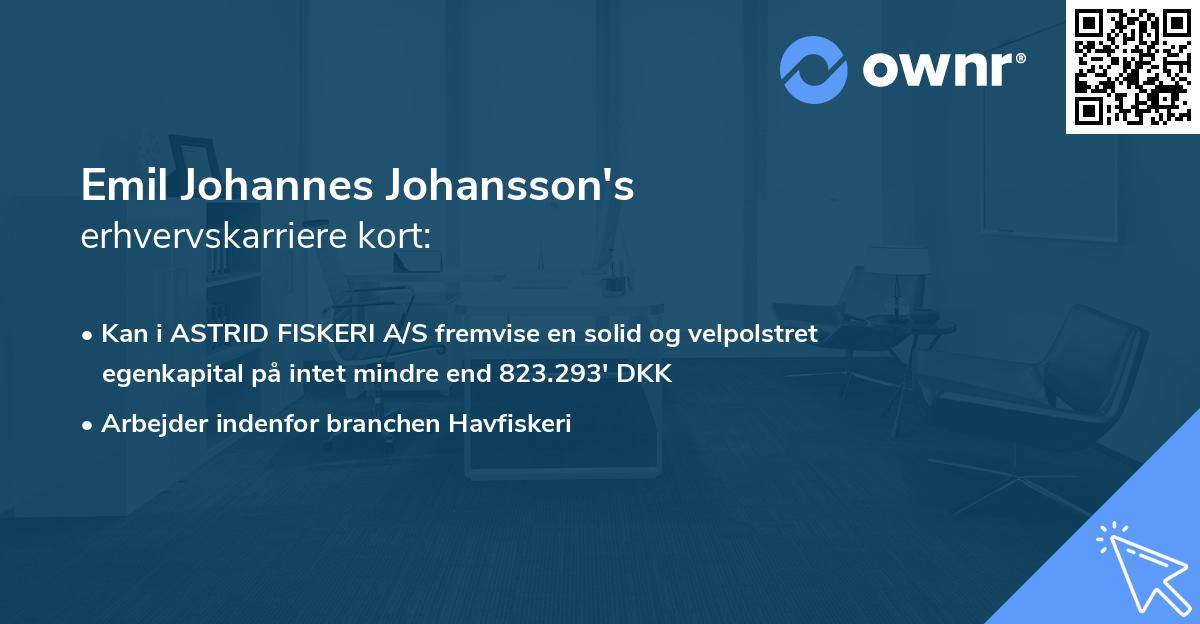 Emil Johannes Johansson's erhvervskarriere kort