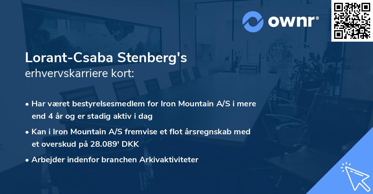 Lorant-Csaba Stenberg's erhvervskarriere kort