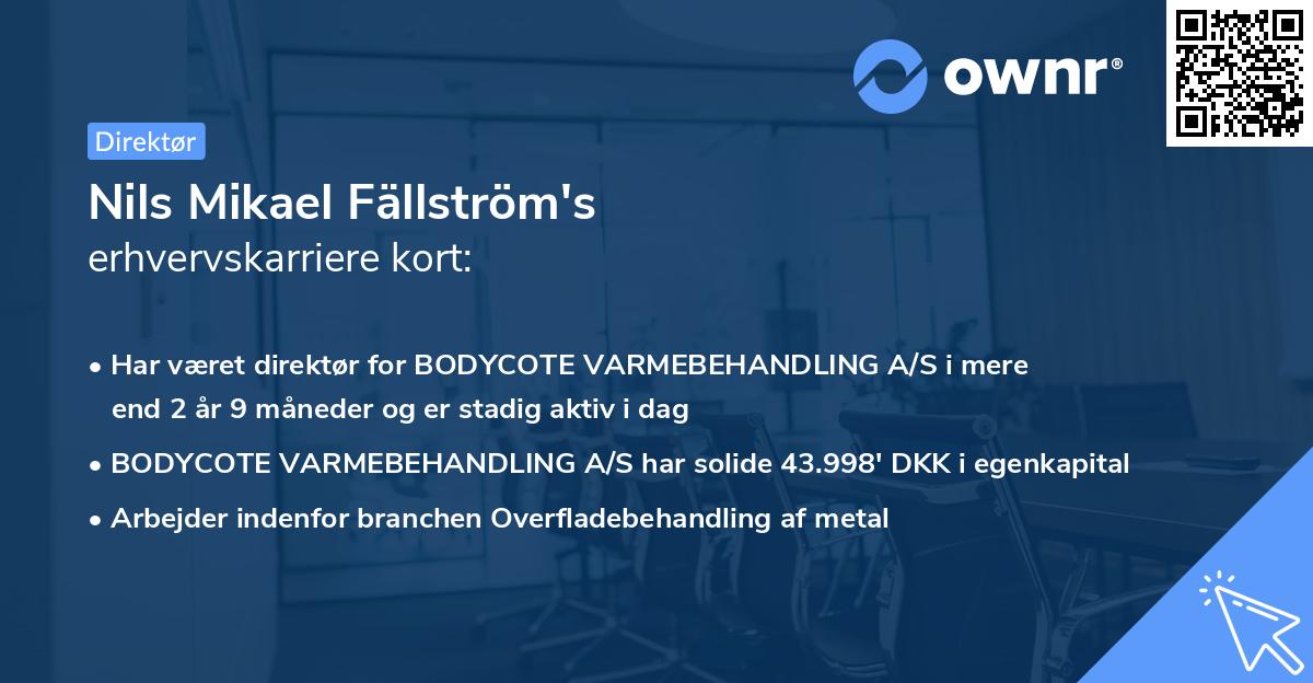 Nils Mikael Fällström's erhvervskarriere kort