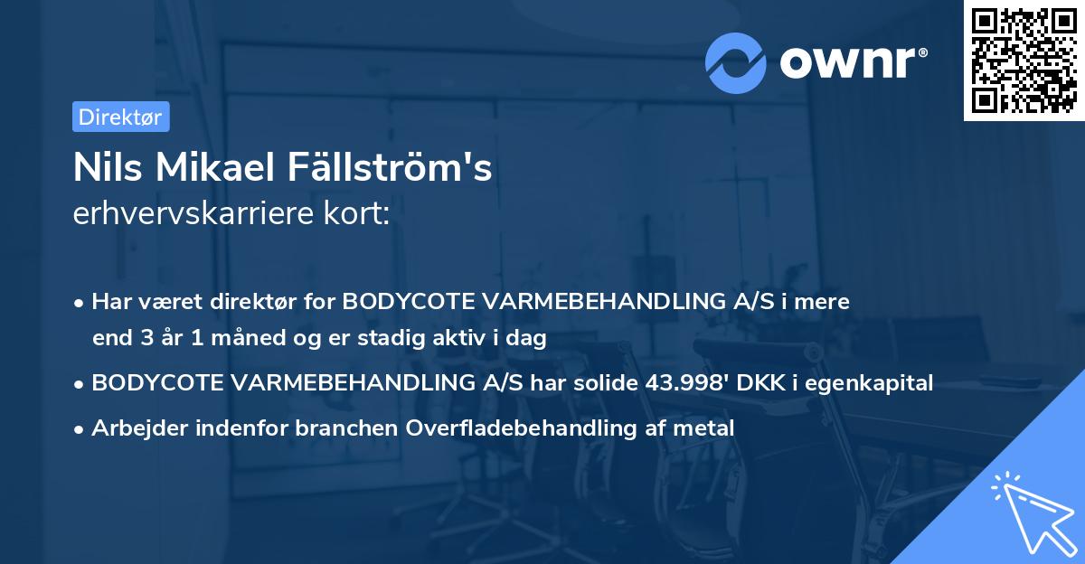 Nils Mikael Fällström's erhvervskarriere kort