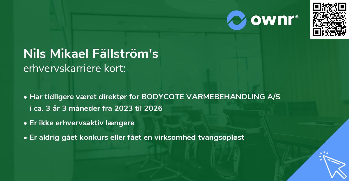 Nils Mikael Fällström's erhvervskarriere kort