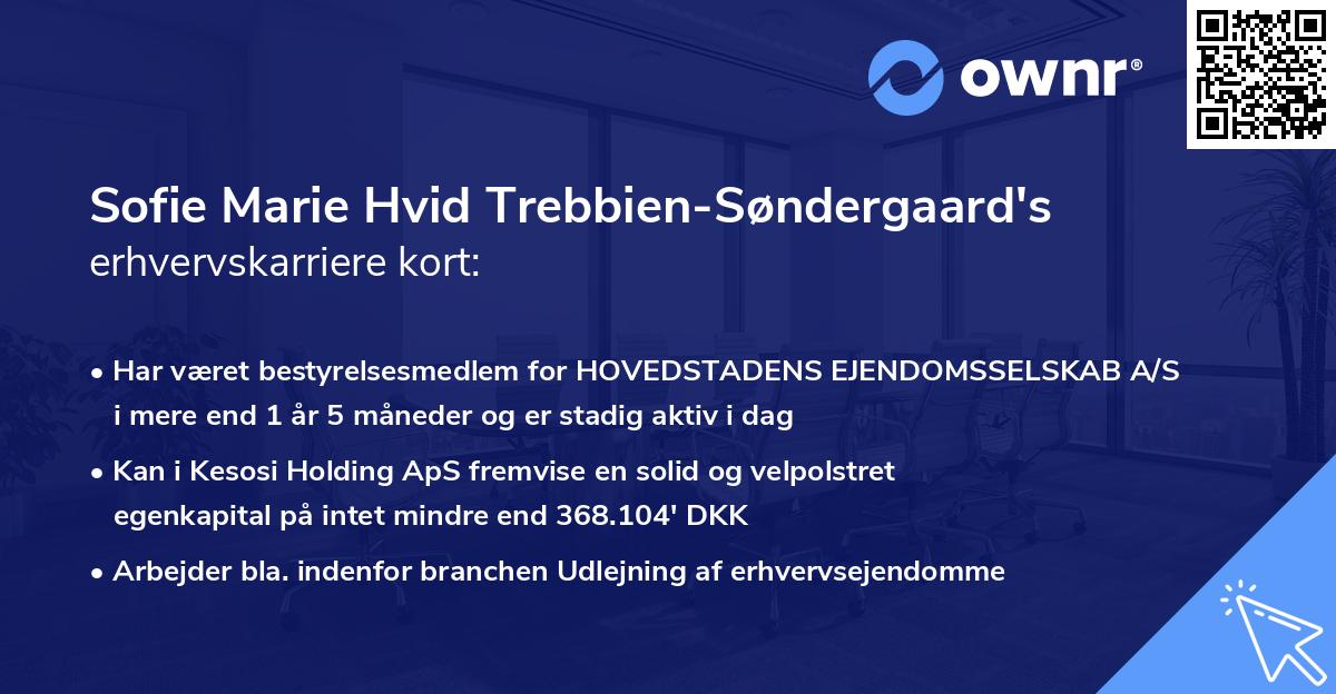 Sofie Marie Hvid Trebbien-Søndergaard's erhvervskarriere kort