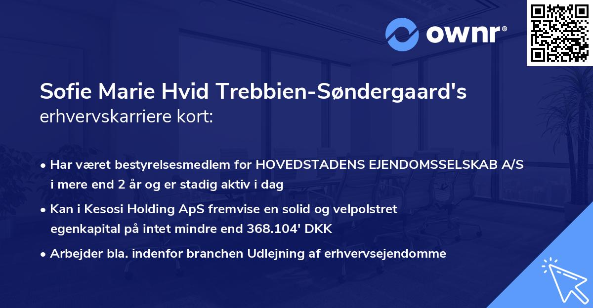 Sofie Marie Hvid Trebbien-Søndergaard's erhvervskarriere kort
