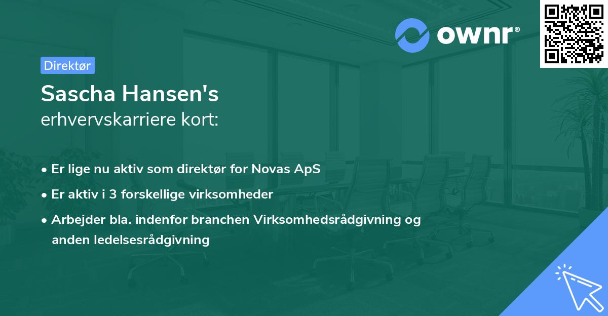 Sascha Hansen's erhvervskarriere kort