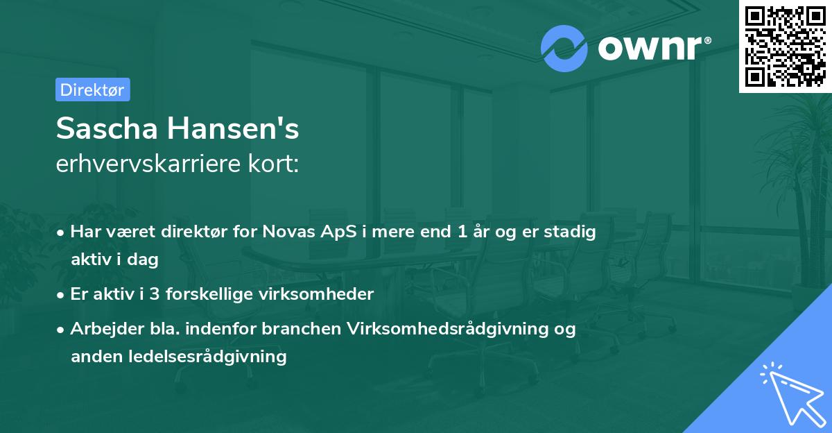 Sascha Hansen's erhvervskarriere kort