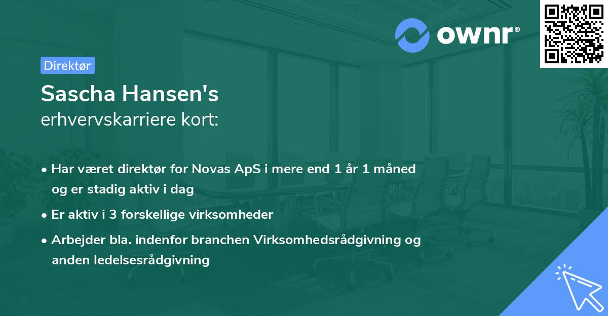 Sascha Hansen's erhvervskarriere kort