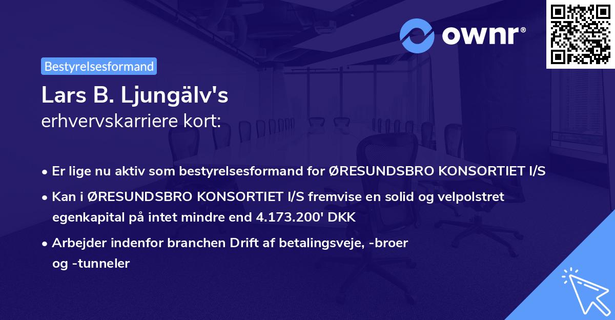 Lars B. Ljungälv's erhvervskarriere kort