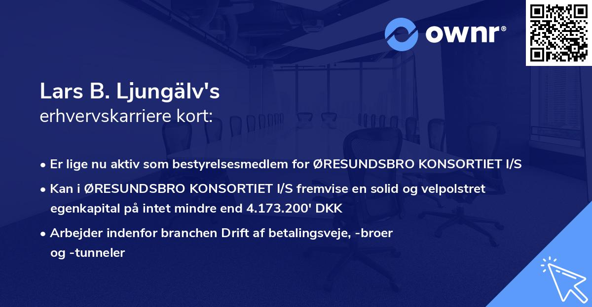 Lars B. Ljungälv's erhvervskarriere kort