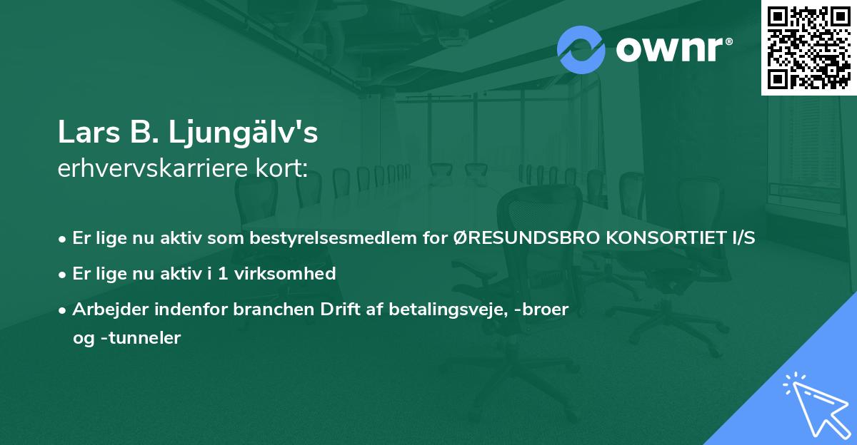 Lars B. Ljungälv's erhvervskarriere kort