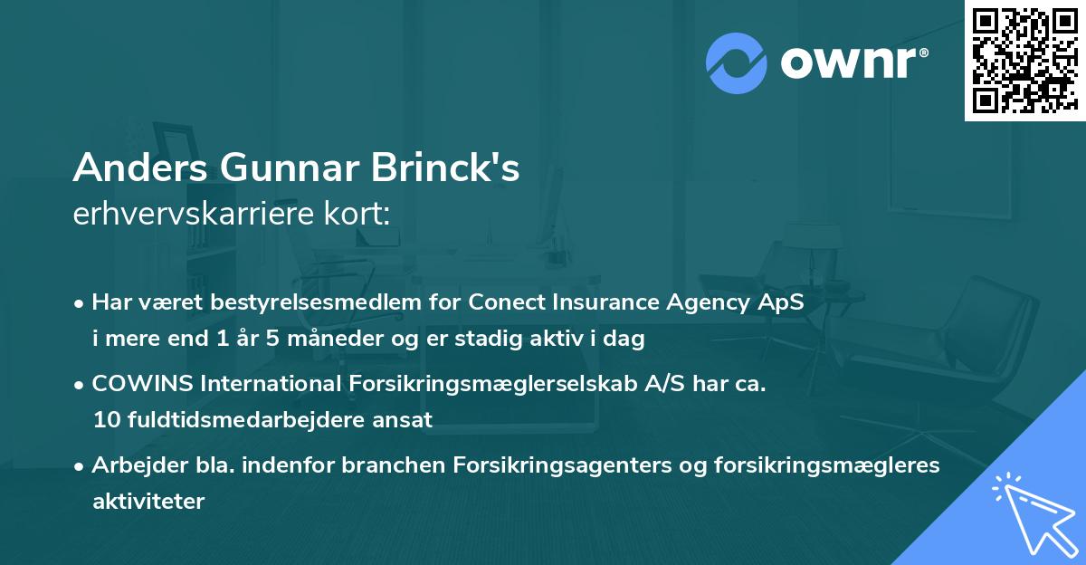 Anders Gunnar Brinck's erhvervskarriere kort