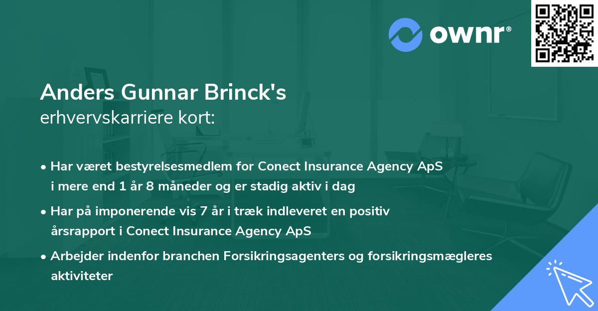 Anders Gunnar Brinck's erhvervskarriere kort