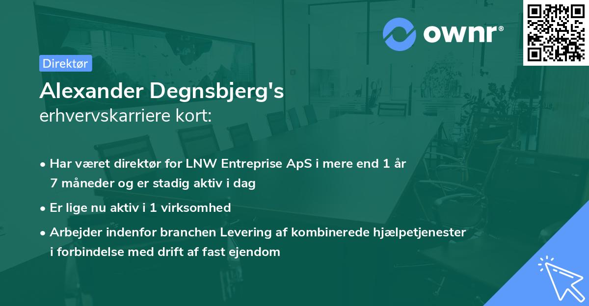 Alexander Degnsbjerg's erhvervskarriere kort