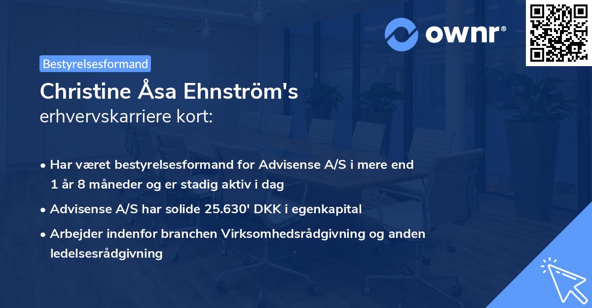Christine Åsa Ehnström's erhvervskarriere kort