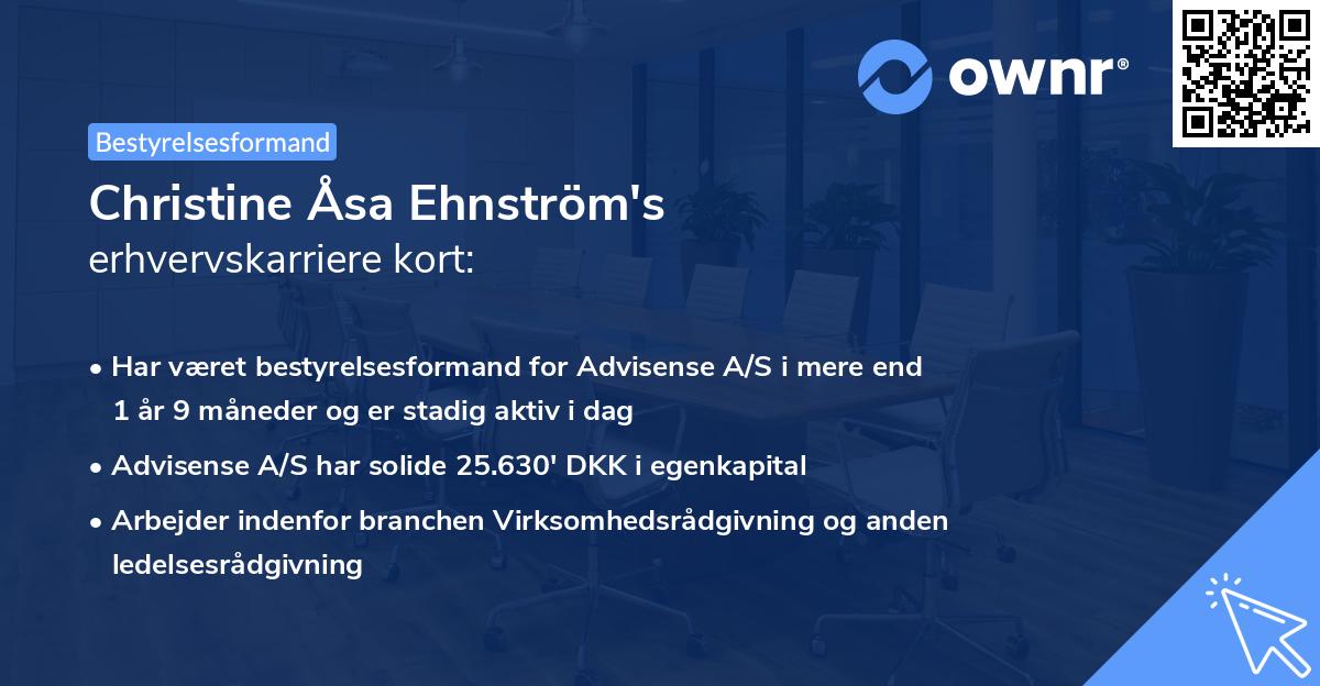 Christine Åsa Ehnström's erhvervskarriere kort