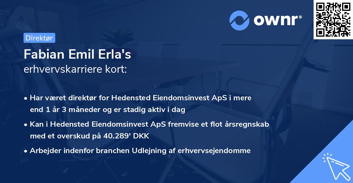 Fabian Emil Erla's erhvervskarriere kort