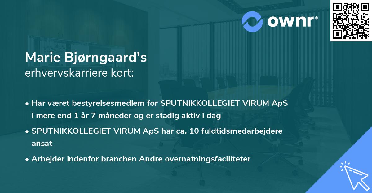 Marie Bjørngaard's erhvervskarriere kort