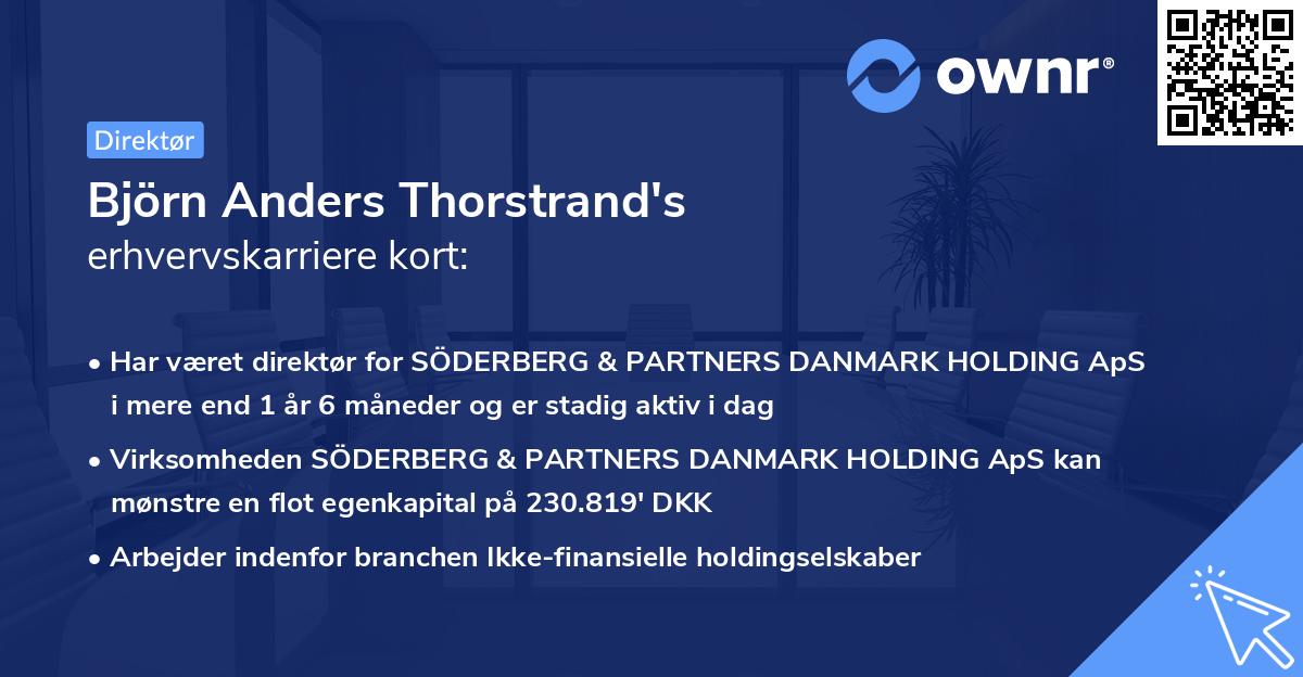 Björn Anders Thorstrand's erhvervskarriere kort