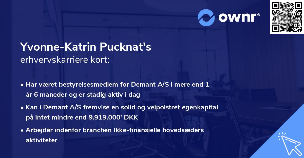 Yvonne-Katrin Pucknat's erhvervskarriere kort