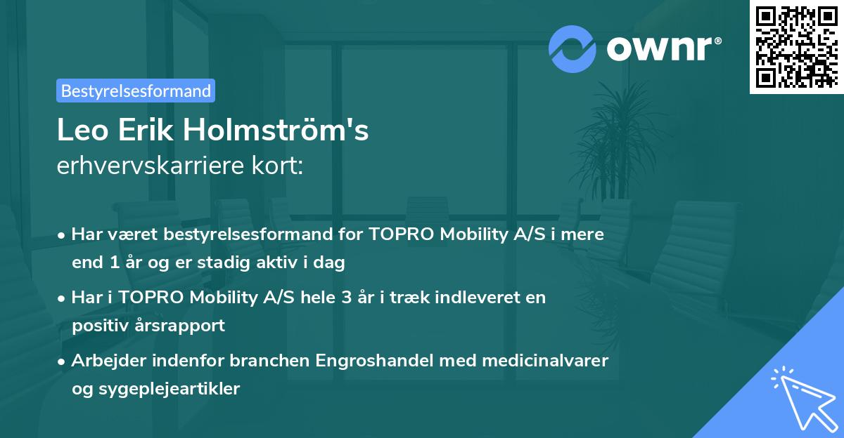 Leo Erik Holmström's erhvervskarriere kort