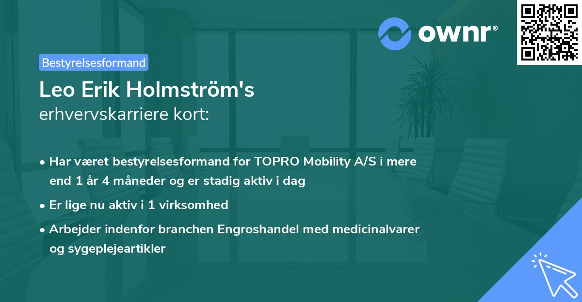 Leo Erik Holmström's erhvervskarriere kort