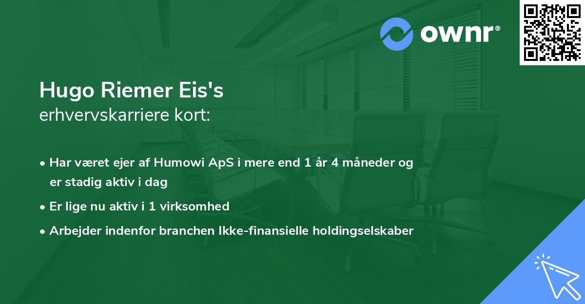 Hugo Riemer Eis's erhvervskarriere kort