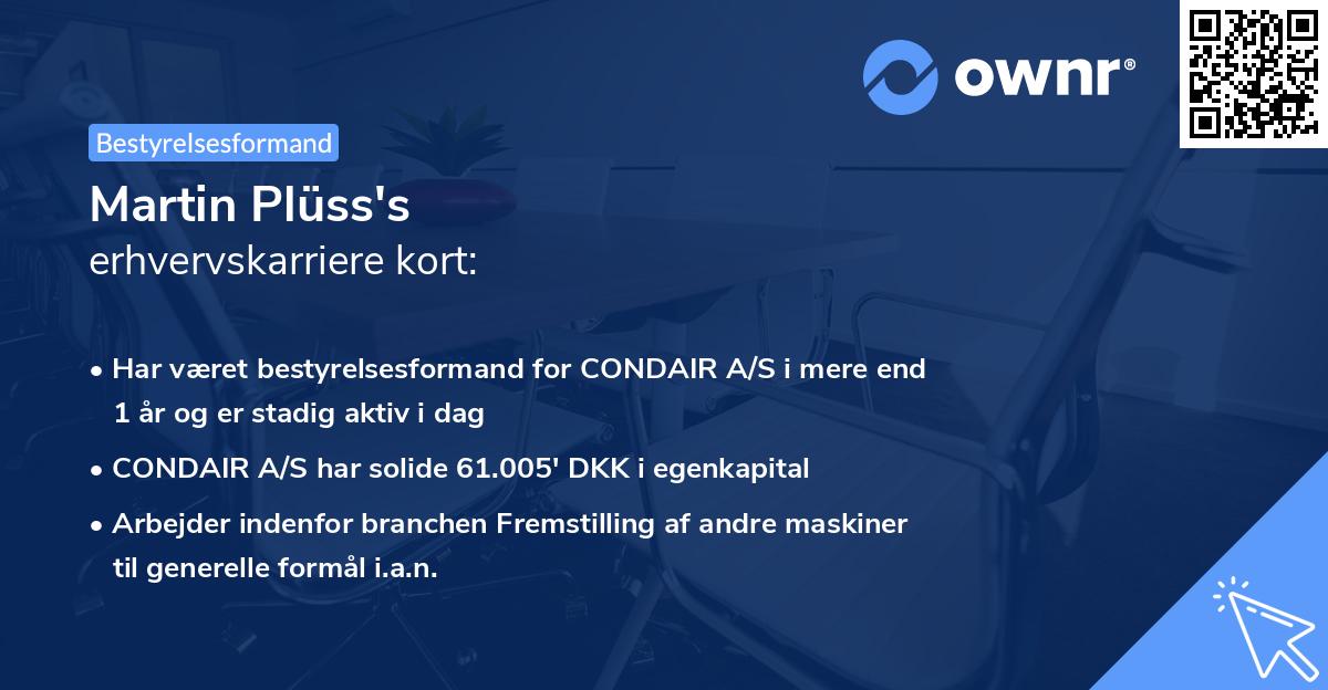 Martin Plüss's erhvervskarriere kort
