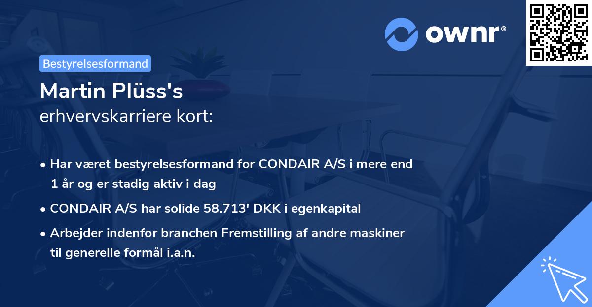 Martin Plüss's erhvervskarriere kort