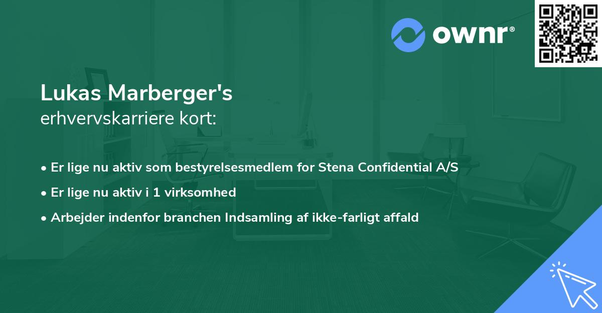 Lukas Marberger's erhvervskarriere kort