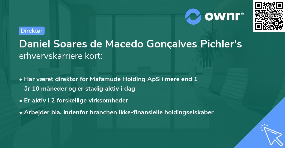 Daniel Soares de Macedo Gonçalves Pichler's erhvervskarriere kort