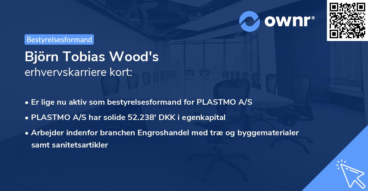 Björn Tobias Wood's erhvervskarriere kort