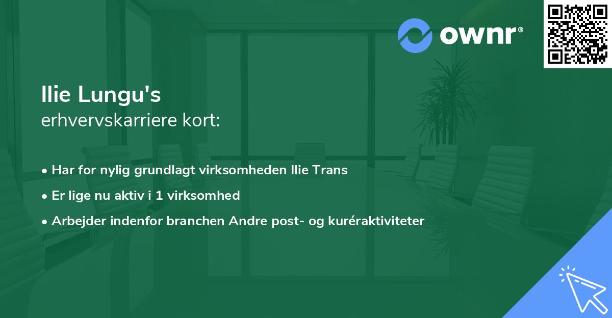 Ilie Lungu's erhvervskarriere kort