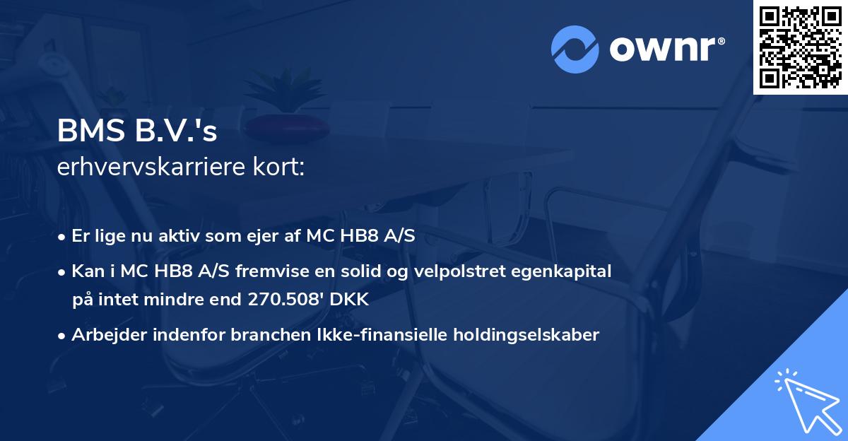 BMS B.V.'s erhvervskarriere kort