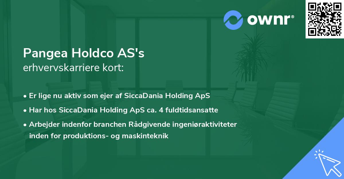 Pangea Holdco AS's erhvervskarriere kort