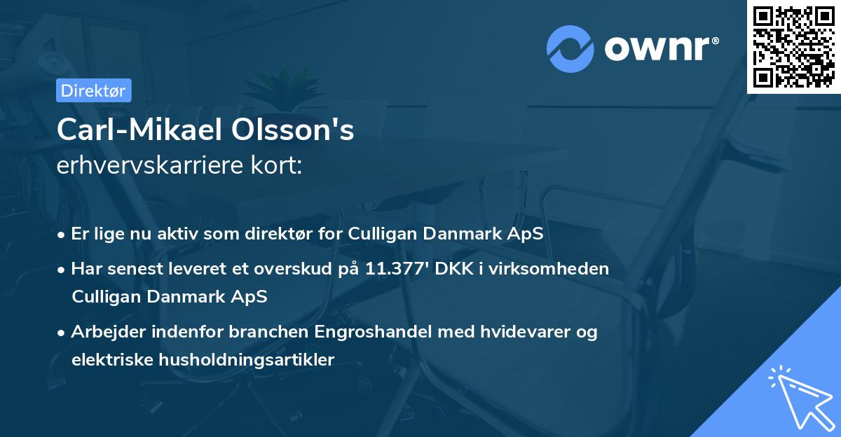 Carl-Mikael Olsson's erhvervskarriere kort