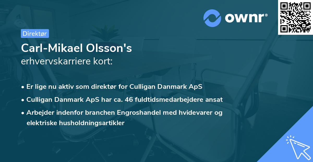 Carl-Mikael Olsson's erhvervskarriere kort